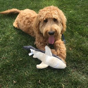 Meet your Posher, Leigh